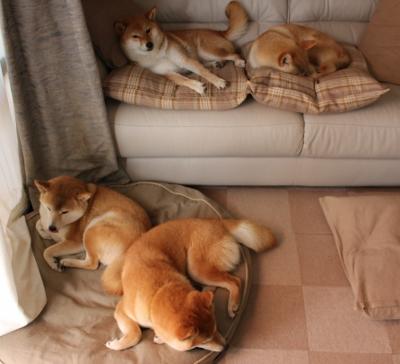 门迪孤岛，当毕尔巴鄂的狂潮冲垮圣西罗，他成了最后一座堤坝