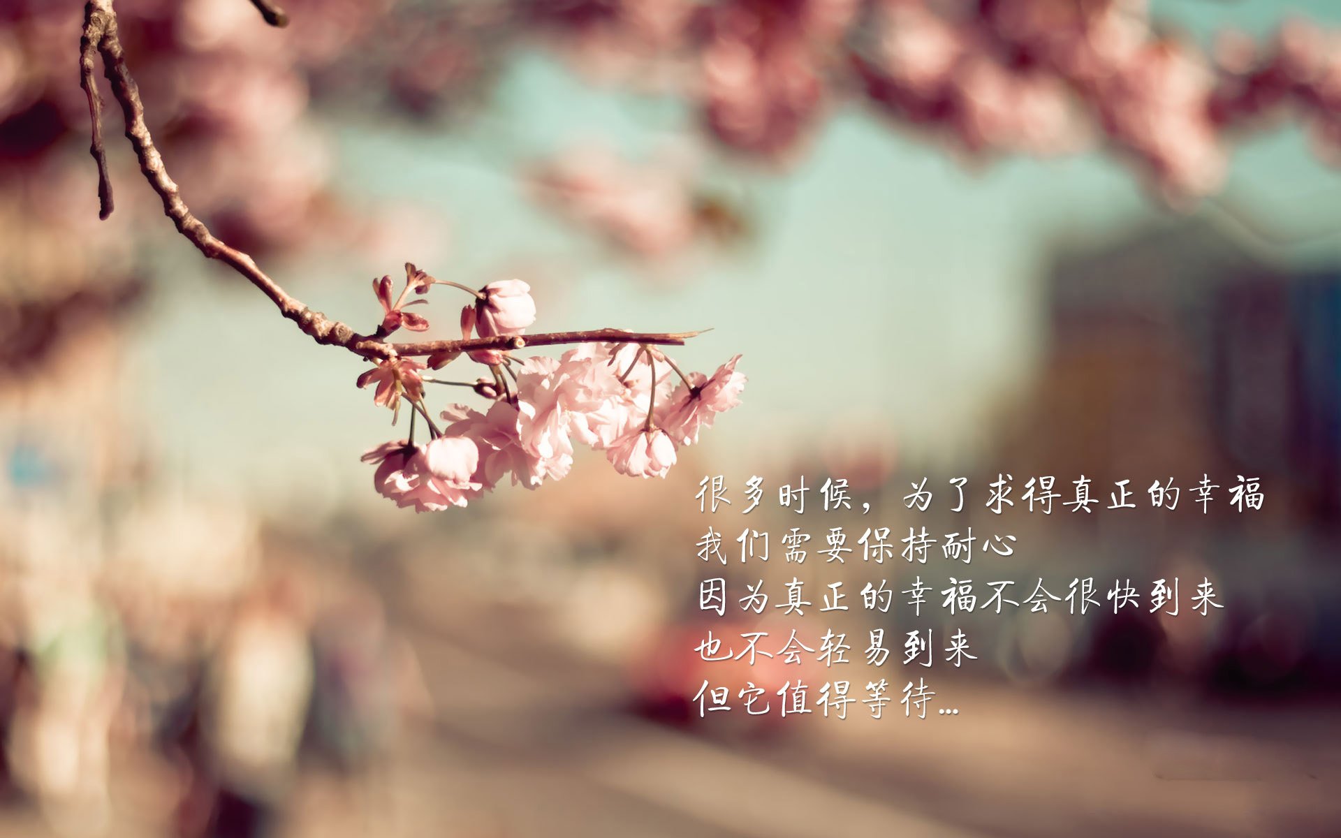 徒步穿越明尼苏达，步行者关键战突围森林狼，欧文打出统治级数据