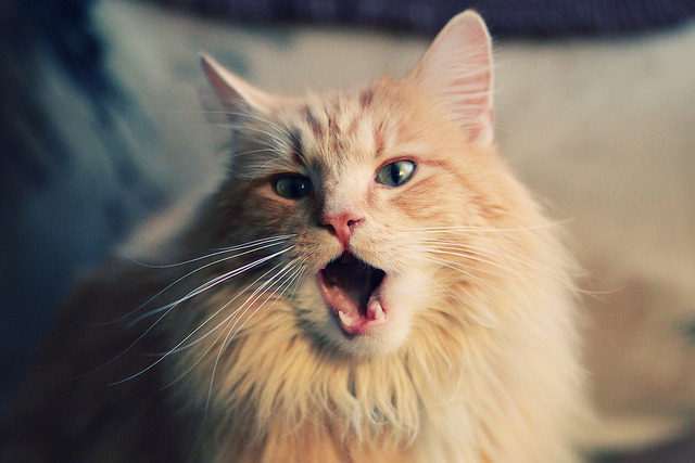 爱游戏2026-英超争冠之夜，楚阿梅尼封神！最后15分钟两记重炮轰开20年王朝之门