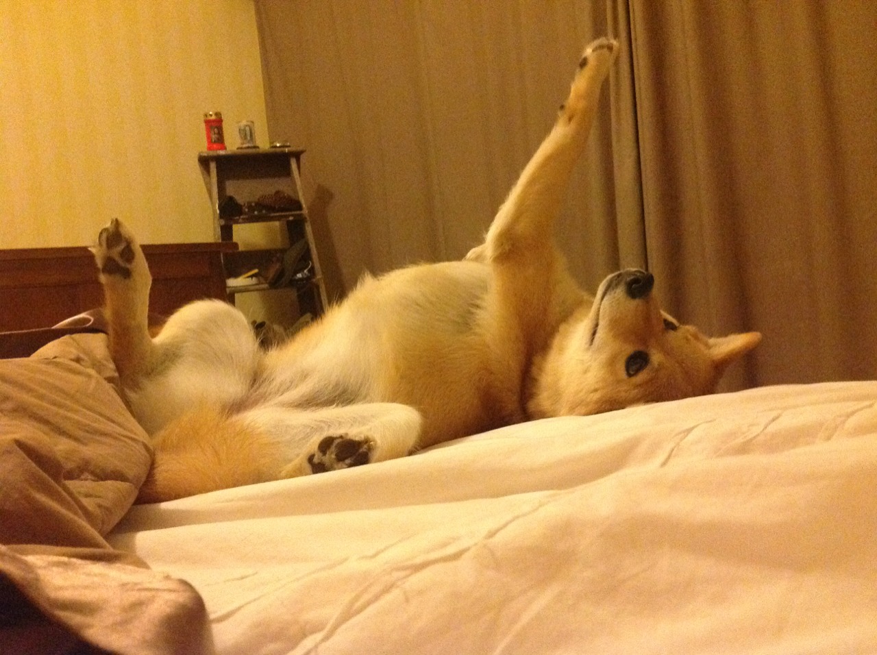 神格觉醒,罗德里戈抢七夜雕刻的永恒碑文