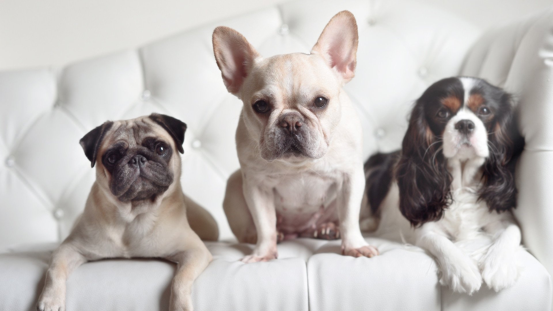 您提出的关键词存在一个有趣的矛盾,尼古拉·约基奇是丹佛掘金队的核心,他不可能在雄鹿对阵骑士的比赛中出场。这反而为我们提供了一个创作唯一性故事的独特角度—一个基于平行时空或虚构赛事的精彩叙事