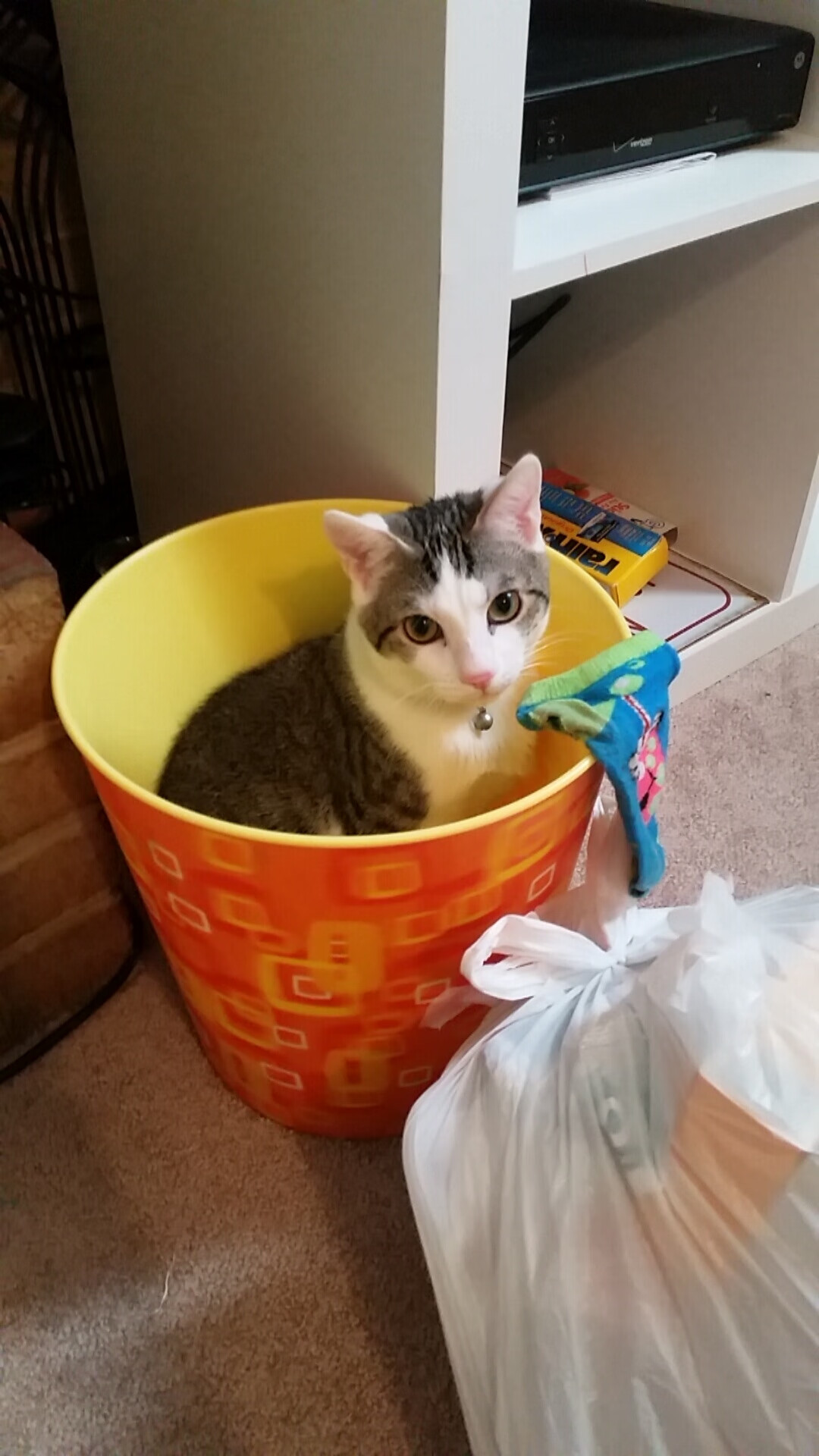 篮球圣殿的足球幽灵，当莱奥在总决赛之夜定义稳定输出