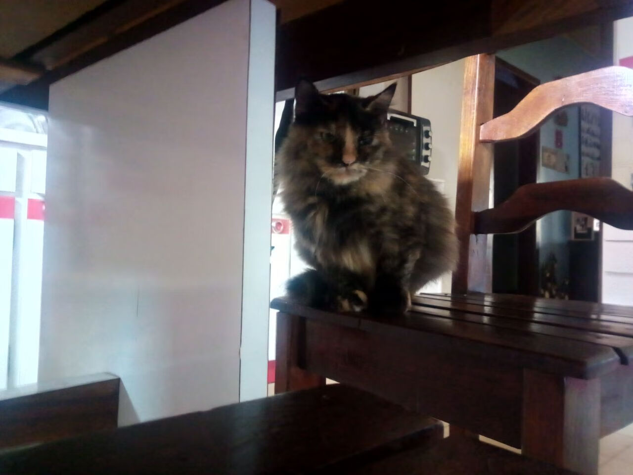 广厦队VS活塞,当欧文将平凡碰撞点燃为不朽传奇