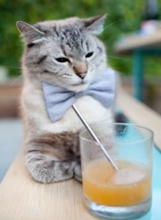 终极悖论,厄德高如何主宰了阿森纳的意外坠落