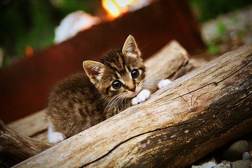 青春无畏!杰伦格林43分击碎卫冕冠军铁壁,热火4-0横扫掘金创历史