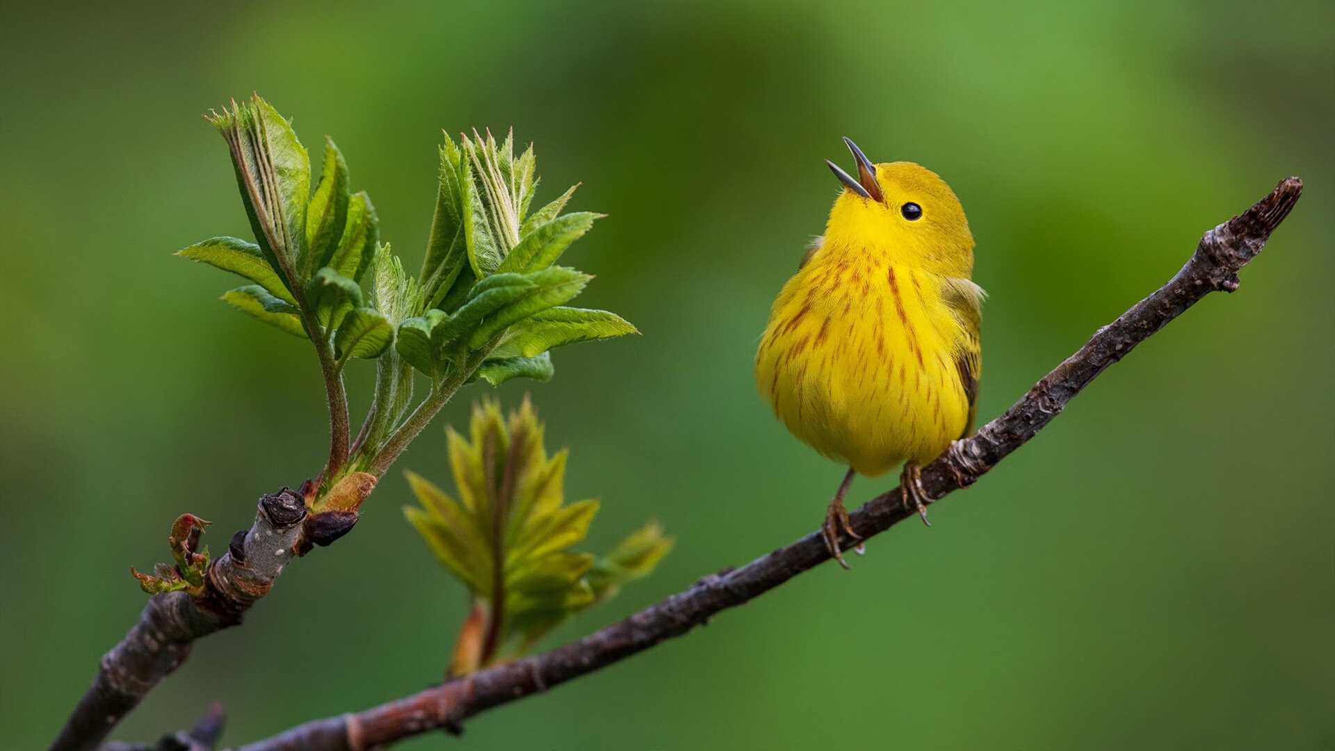为你构思的三个文章标题