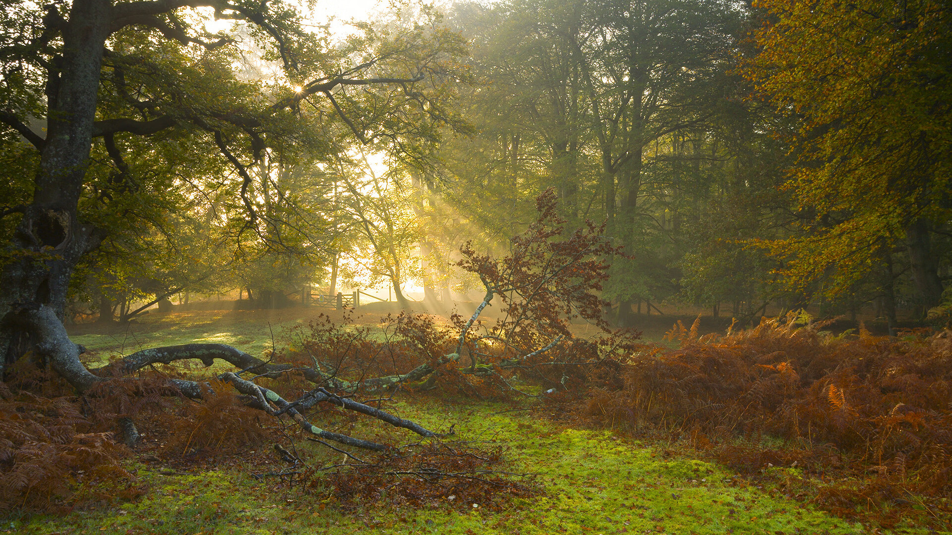 爱游戏在线-绿茵德比的双面镜，从伊比利亚到北非，战术纪律如何跨越地中海改写命运