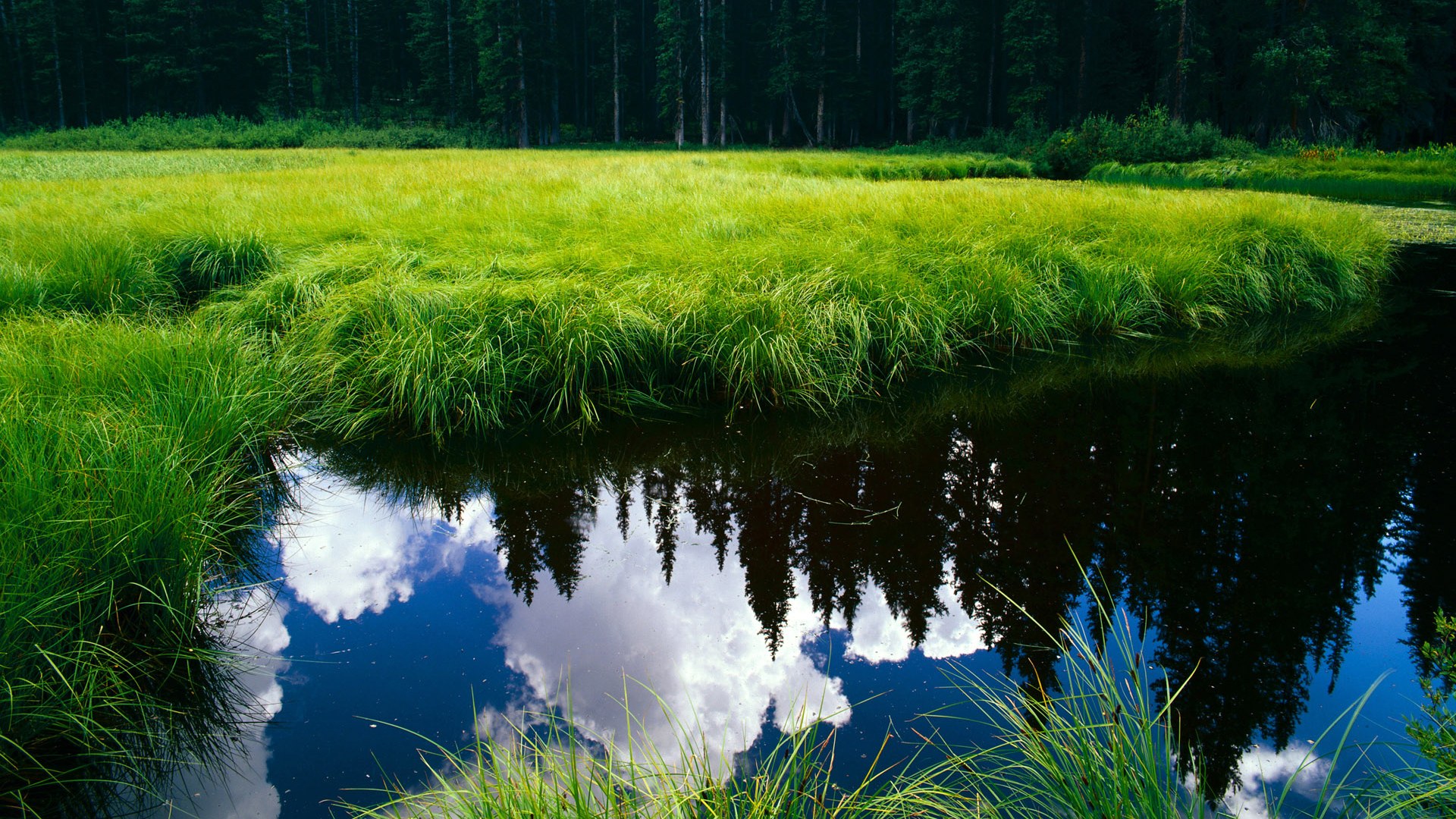 爱游戏官网-跨界传奇，巴萨节奏掌控玻利维亚，李刚仁在NBA季后赛的足球式接管