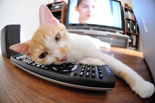 京多安对手完全无解，NBA总决赛之夜的跨界启示