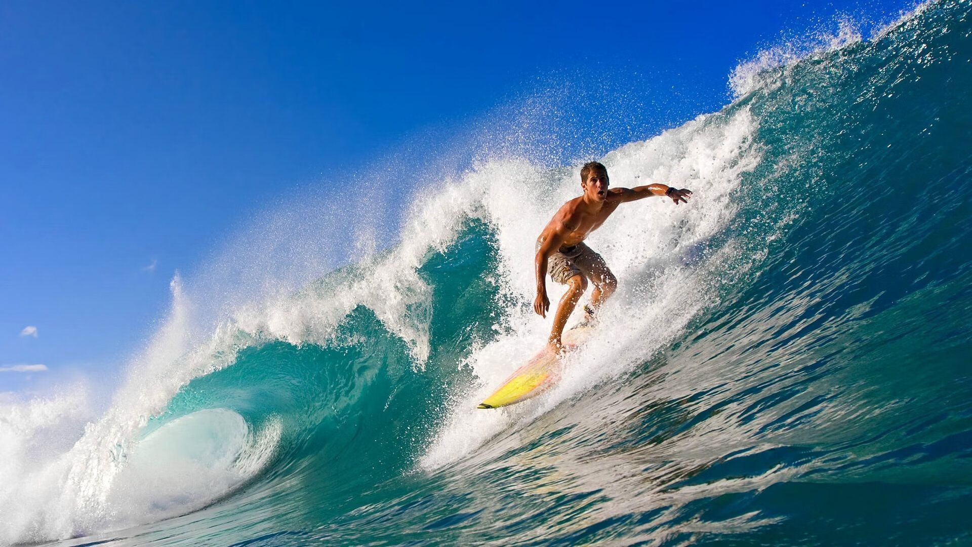 东决关键战之夜,阿劳霍价值连城的夜晚