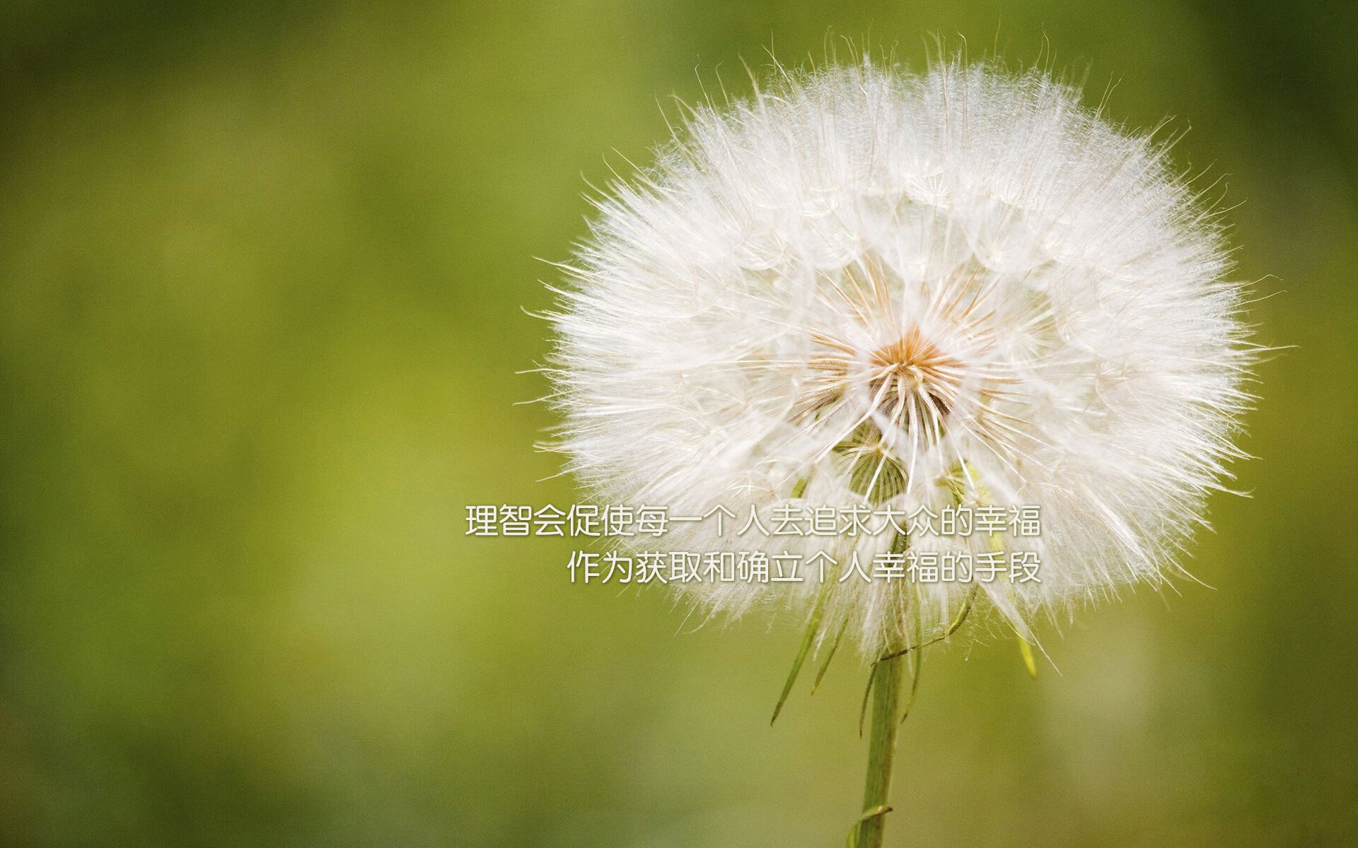 绝境日耳曼,当钢铁意志撕裂欧洲红魔,苏亚雷斯在F组写下不朽诗篇