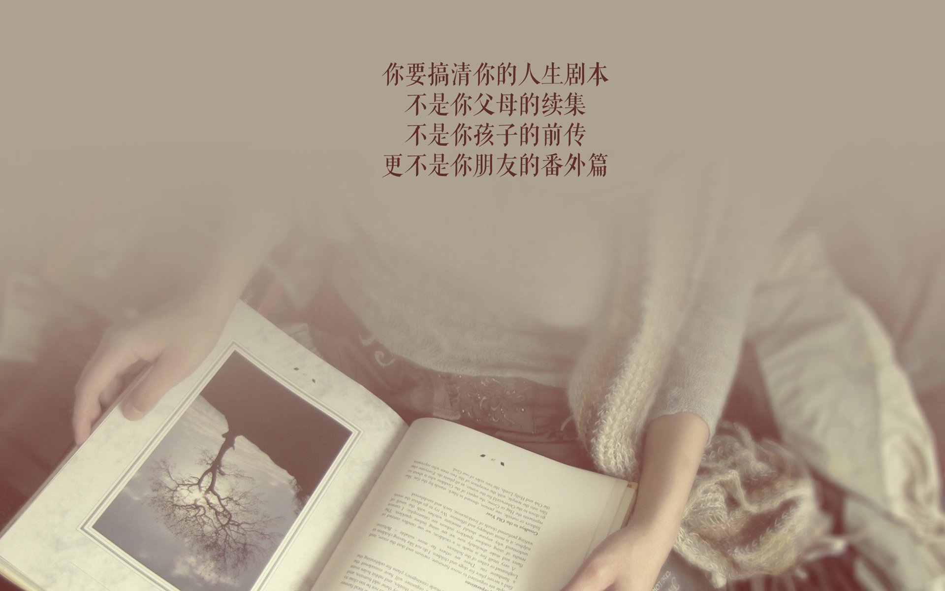唯一之战,迪亚斯铁血令下,伊朗在2026世界杯B组关键战完胜喀麦隆