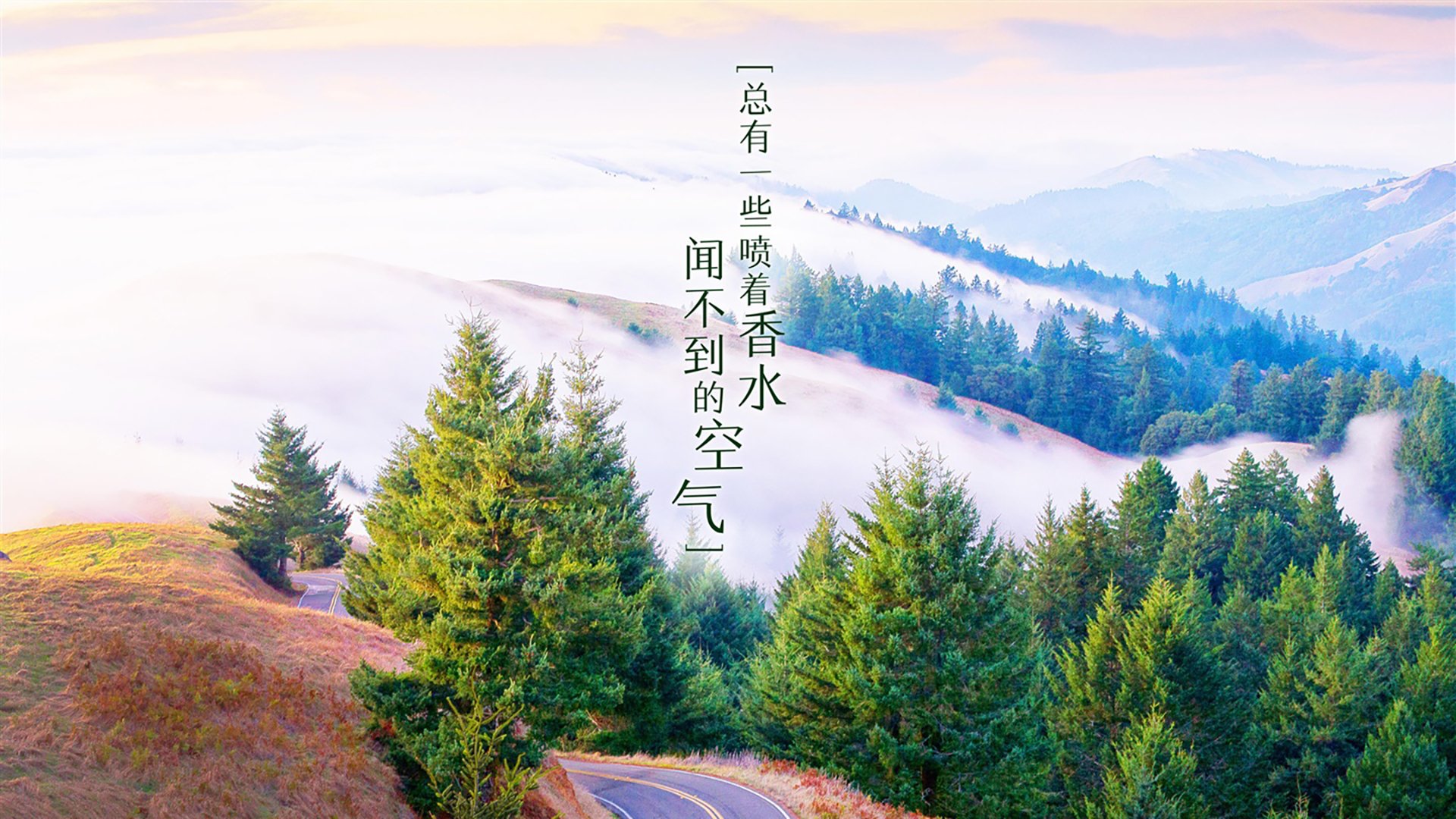 哈基米的天平,2026世界杯H组,斯洛伐克与美国的唯一解